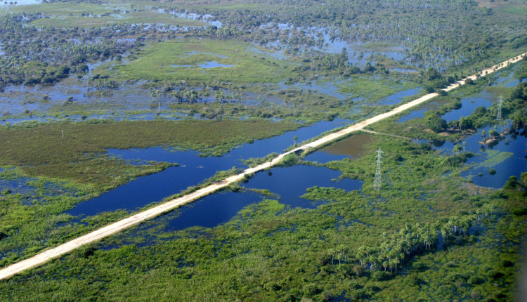 Decisão do STF sobre critério para compensação de reserva legal destrava Código Florestal e beneficia Pantanal, diz secretário.