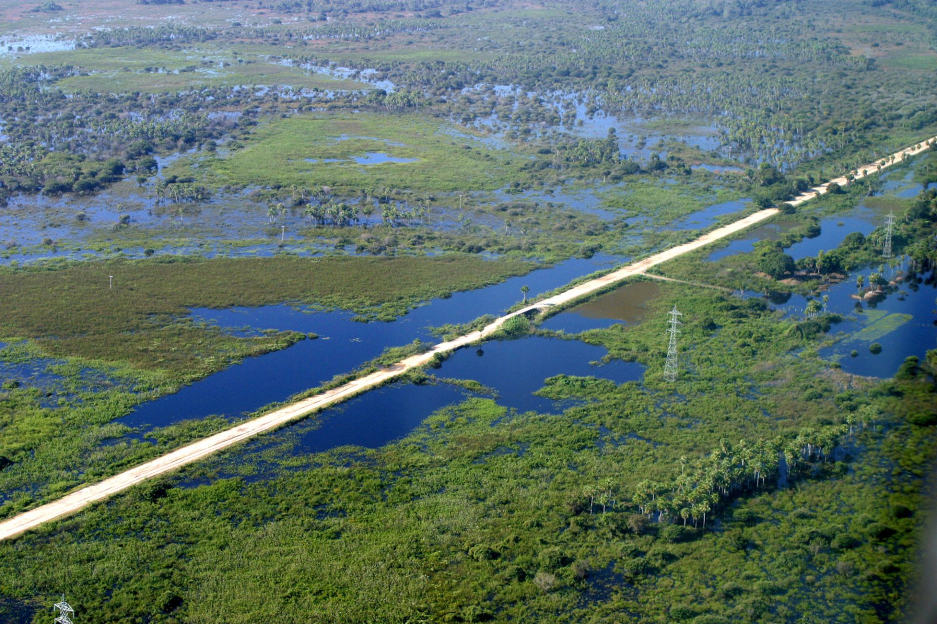 Decisão do STF sobre critério para compensação de reserva legal destrava Código Florestal e beneficia Pantanal, diz secretário.