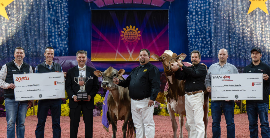 Stoney Point Joel Bailey foi coroado 'Campeão Supremo' na World Dairy Expo de 2024.