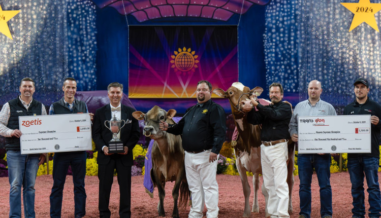 Stoney Point Joel Bailey foi coroado 'Campeão Supremo' na World Dairy Expo de 2024.