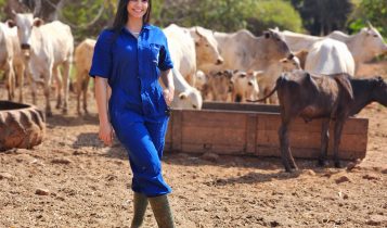 Brasil já ultrapassa 166 mil veterinários em atividade e reforça papel estratégico da profissão