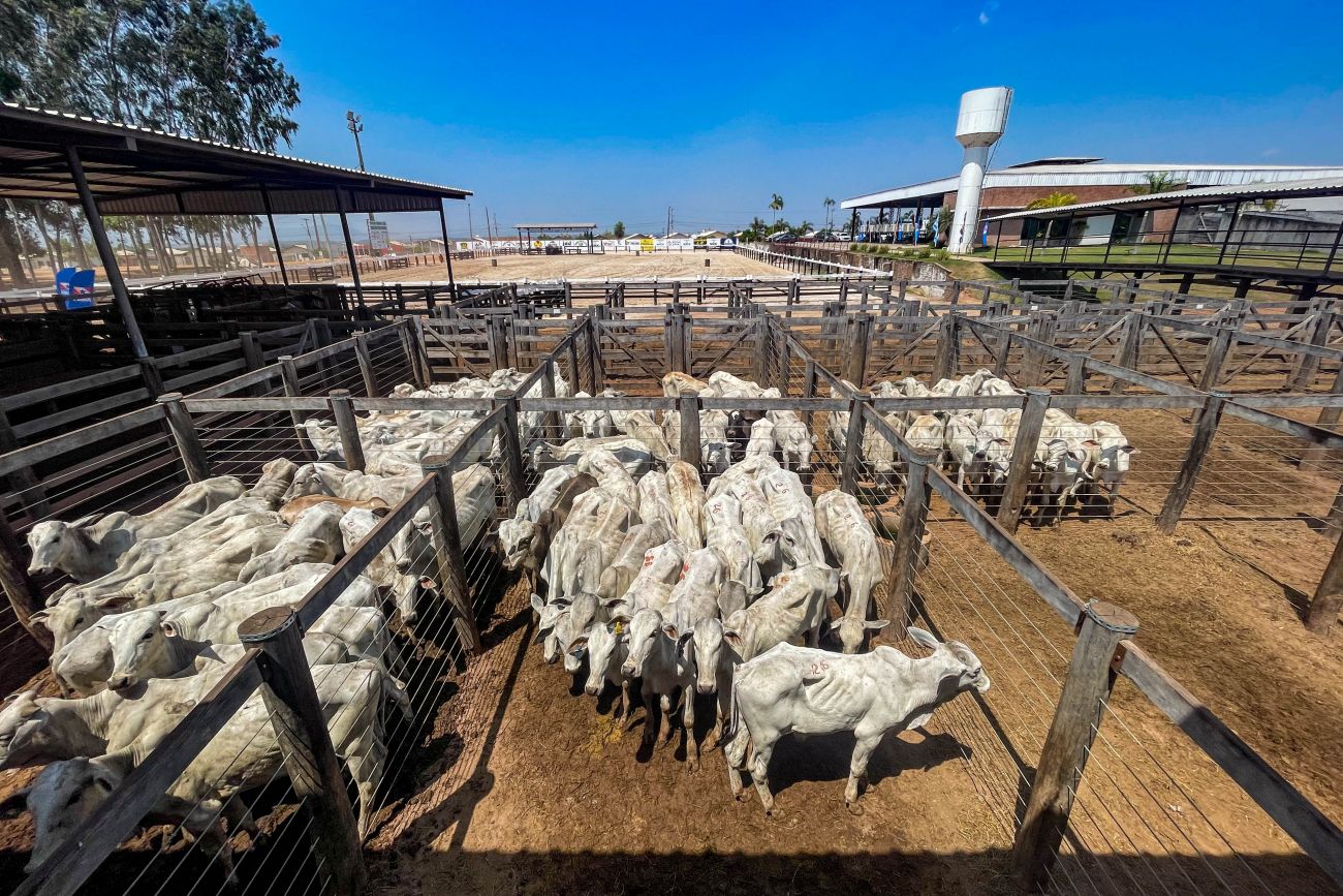 Produto Interno Bruto do Pará é o maior da Região Norte, aponta Fapespa