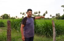 Biolodo aumenta produtividade em pequenas propriedades rurais de Cuiabá