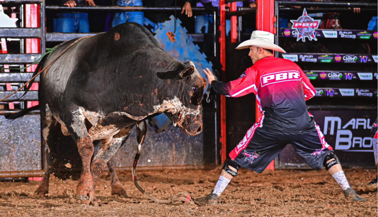 Carlinhos Bento salva-vidas de rodeio - pbr brasil