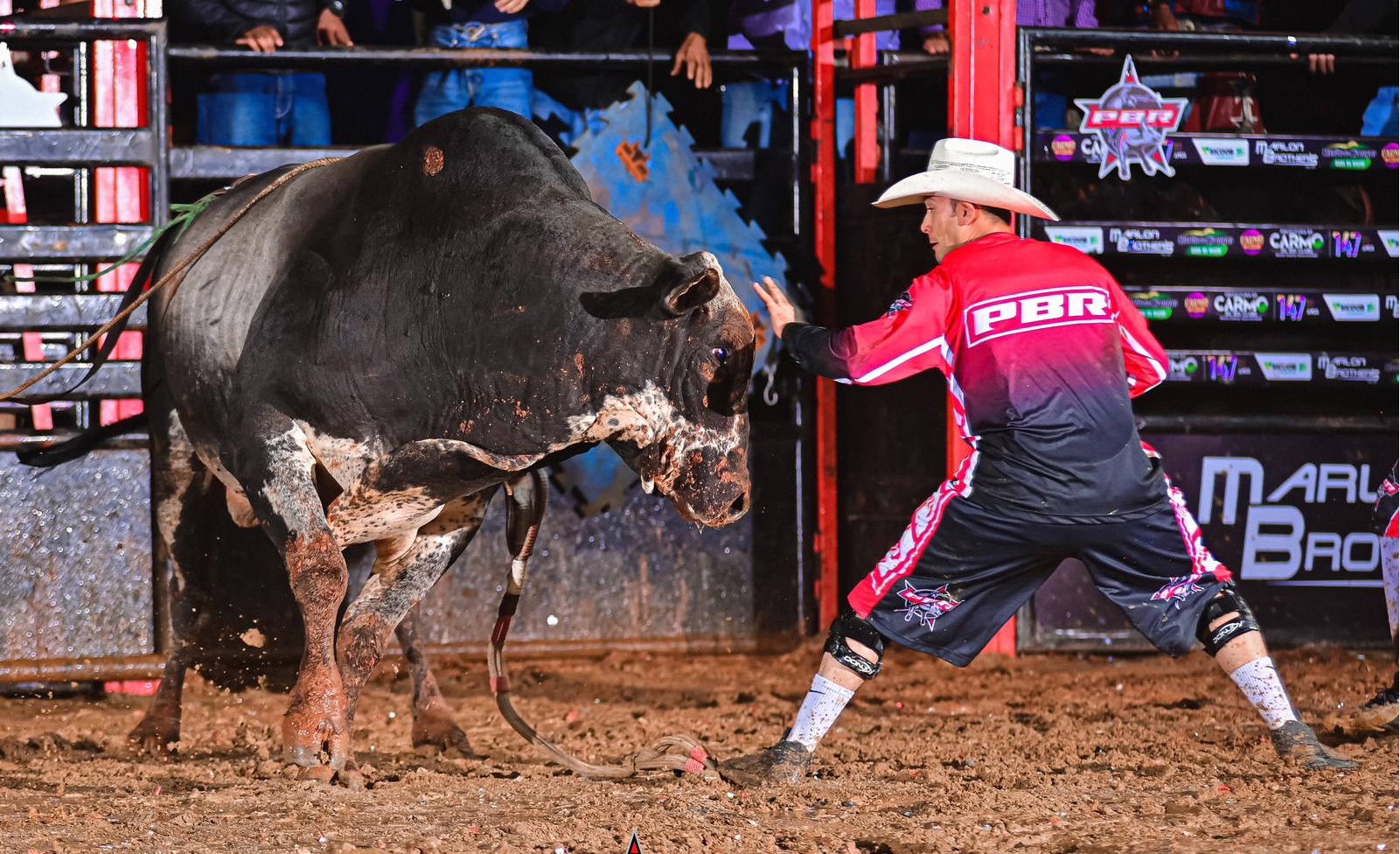 Carlinhos Bento salva-vidas de rodeio - pbr brasil