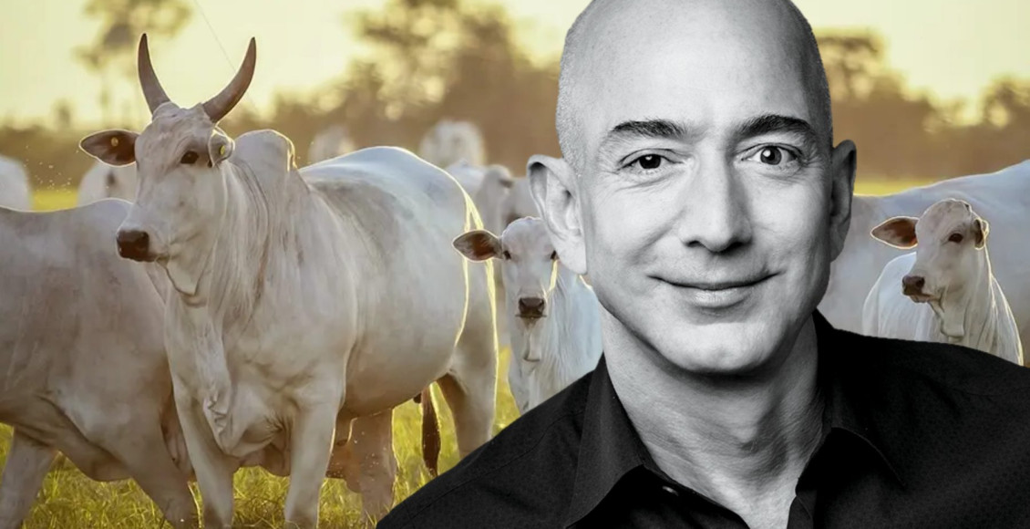 jeff bezos