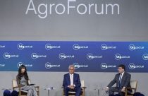 Governadores de GO, PI e MS debatem logística e seguro rural