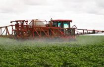 Fim de incentivos fiscais sobre agroquímicos pode aumentar em R$ 20,8 bi custo de produção, diz Mapa