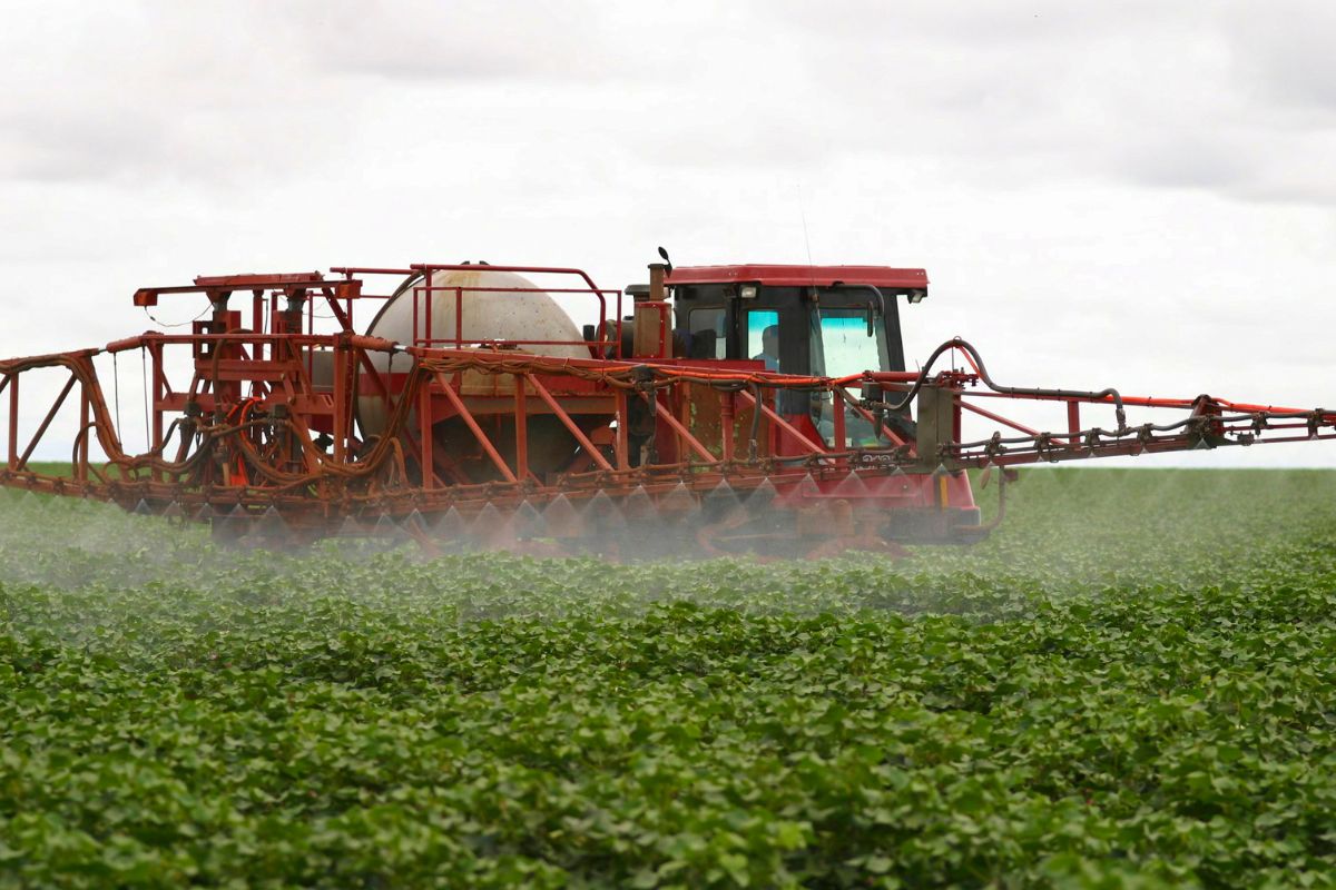 Fim de incentivos fiscais sobre agroquímicos pode aumentar em R$ 20,8 bi custo de produção, diz Mapa