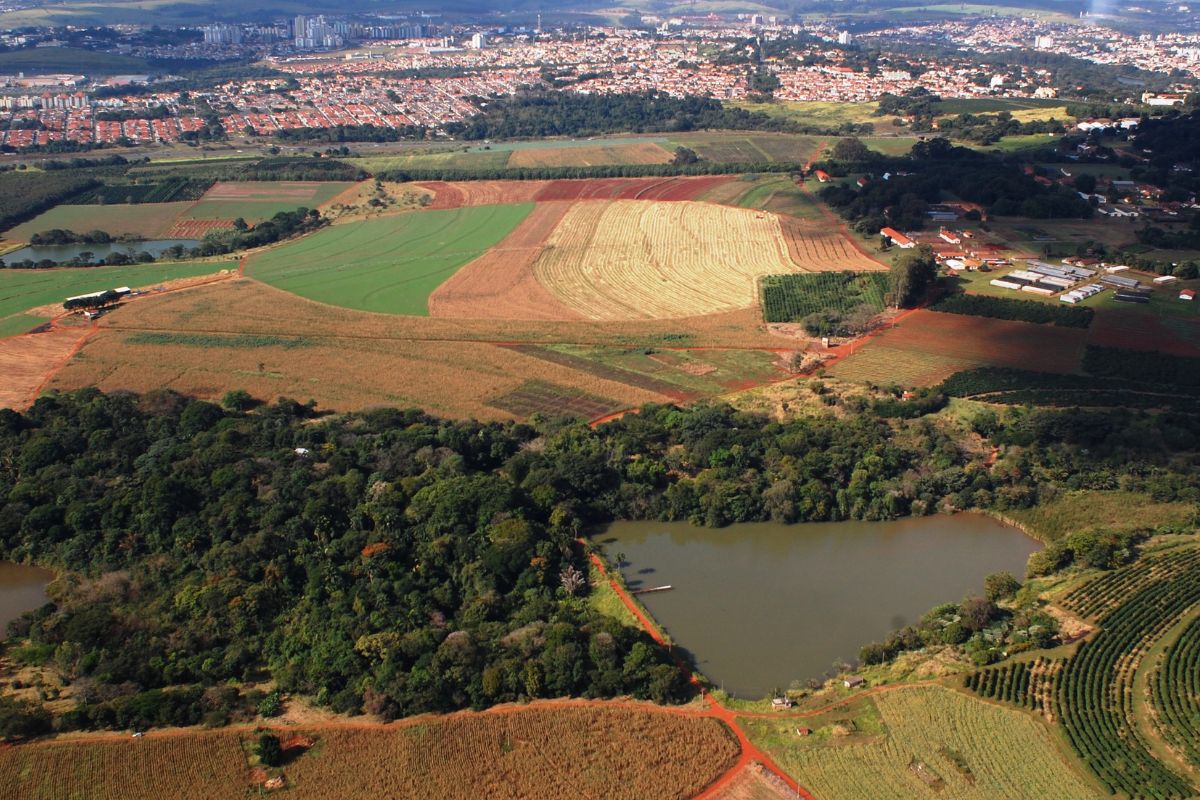 Fazenda Santa Elisa | Divulgação/IAC