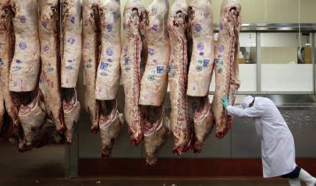 Funcionario de frigorifico empurrando a linha de carcacas bovinas