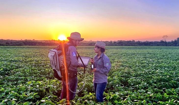 Sustentabilidade: florestas plantadas em MS contribuem para a meta de carbono neutro