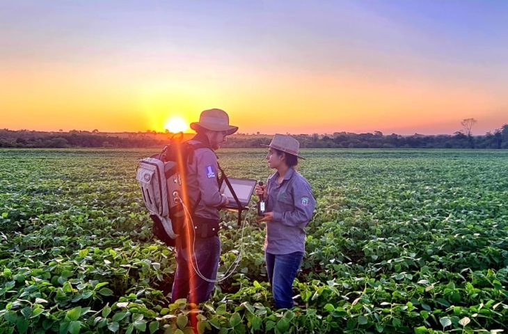 Sustentabilidade: florestas plantadas em MS contribuem para a meta de carbono neutro