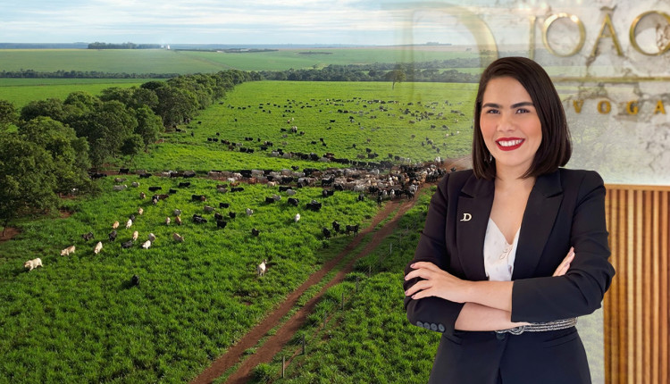 Leticia Moura - Escritorio Joao Domingos crise financeira no agronegocio 1