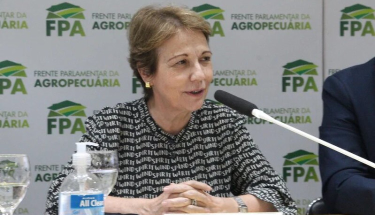 FPA cobra ações no Congresso contra barreiras comerciais francesas ao agro brasileiro