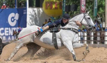 Cafame Roxa AD se torna a mais valorizada do Quarto de Milha, atingindo R$ 17 milhões
