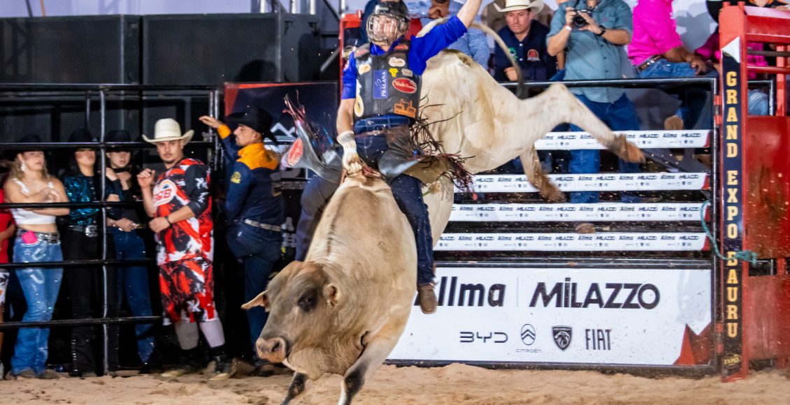 Touro de Rodeio Sabirila Jr da Cia Gutt Bulls