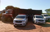 acao da policia militar furto de gado caminhao