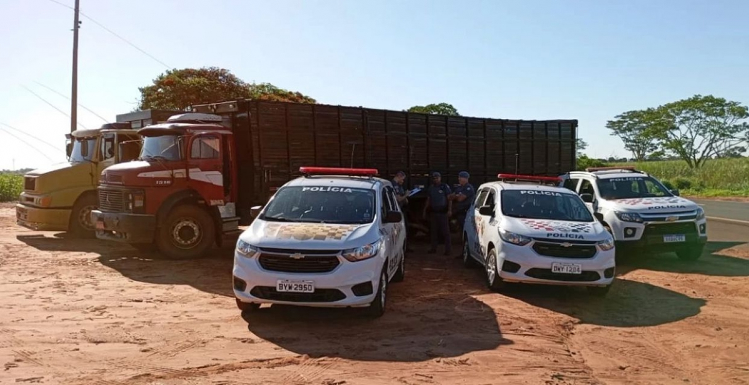 acao da policia militar furto de gado caminhao