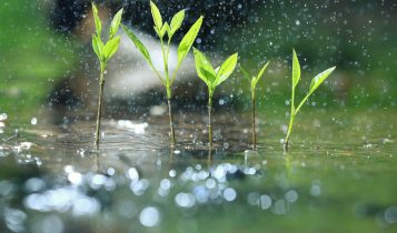 Chuvas acima de 100 mm devem atingir duas regiões do país nesta semana