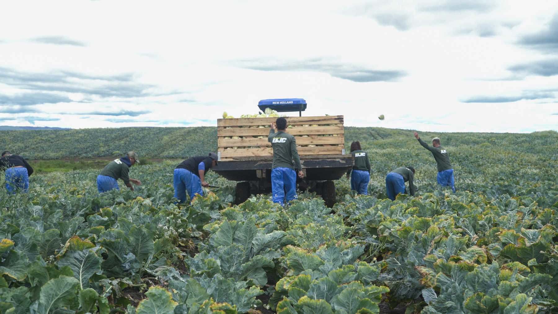 Grano Alimentos realiza parceria com mais de 100 agricultores familiares por meio de compras recorrentes e suporte técnico