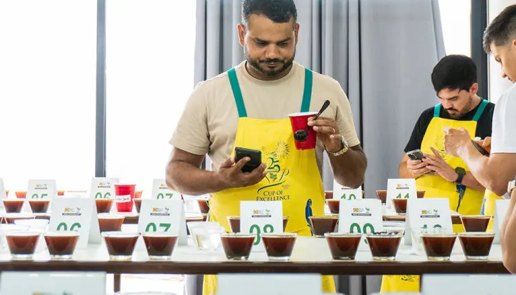 Café especial: Cup of Excellence define amostras para fase internacional