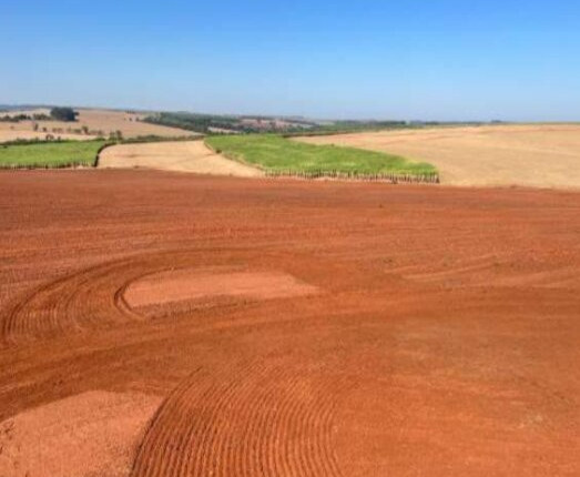 Justiça manda leiloar Fazenda em Bariri, interior de SP, por R$ 13 milhões