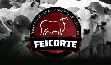 Sucesso da Feicorte no Paraguai eleva expectativas para o retorno da feira ao Brasil em junho