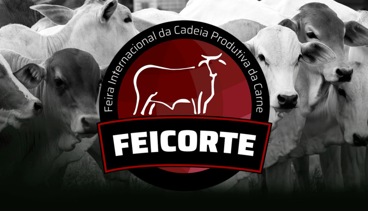 feicorte em presidente prudente