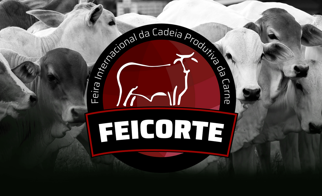 feicorte em presidente prudente