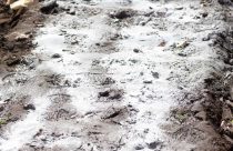 Gesso agrícola: Quando utilizar? Veja as regras de ouro para não errar na lavoura