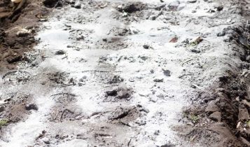 Gesso agrícola: Quando utilizar? Veja as regras de ouro para não errar na lavoura