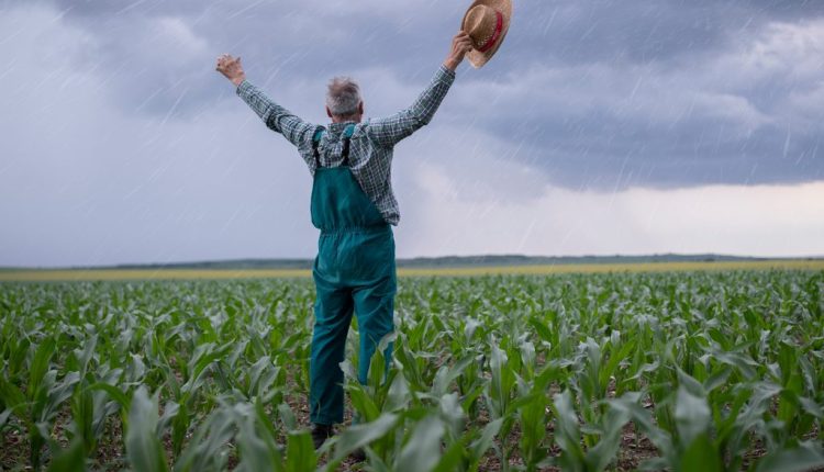 StayAgro quer ajudar os produtores a mitigar os impactos do clima nas lavouras