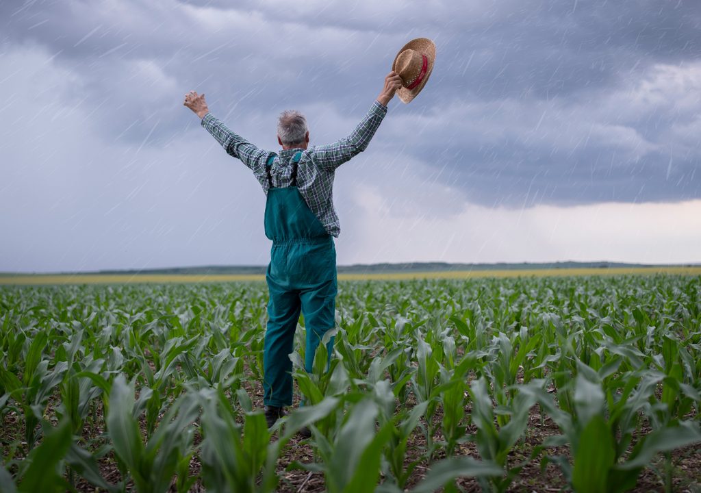 StayAgro quer ajudar os produtores a mitigar os impactos do clima nas lavouras