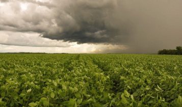 Brasil enfrenta extremos de chuva e seca na reta final da safra de soja