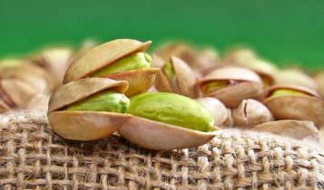 Pistache: Descubra o que é, seus benefícios e como cultivá-lo