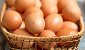 Saiba como reduzir o estresse térmico na produção de ovos 