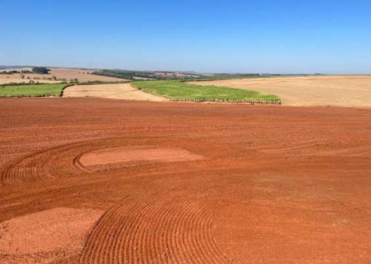 Leilão de Fazenda em Bariri, interior de SP, começa hoje