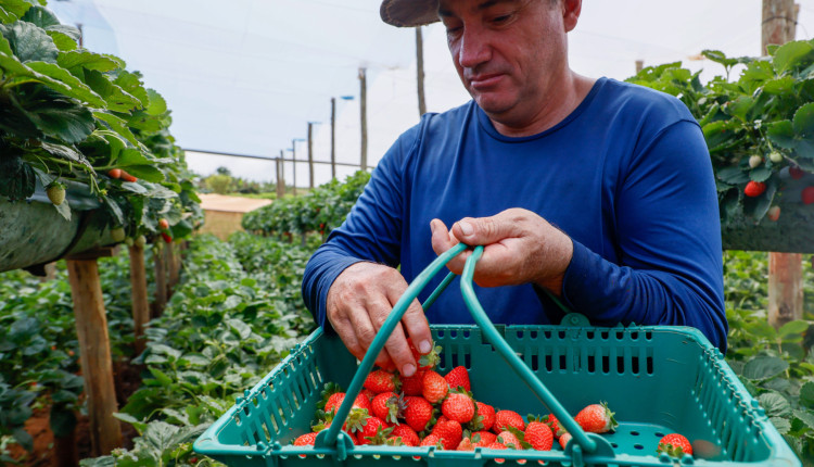 Projeto de Lei potencializa reforma agrária e beneficia pequenos produtores