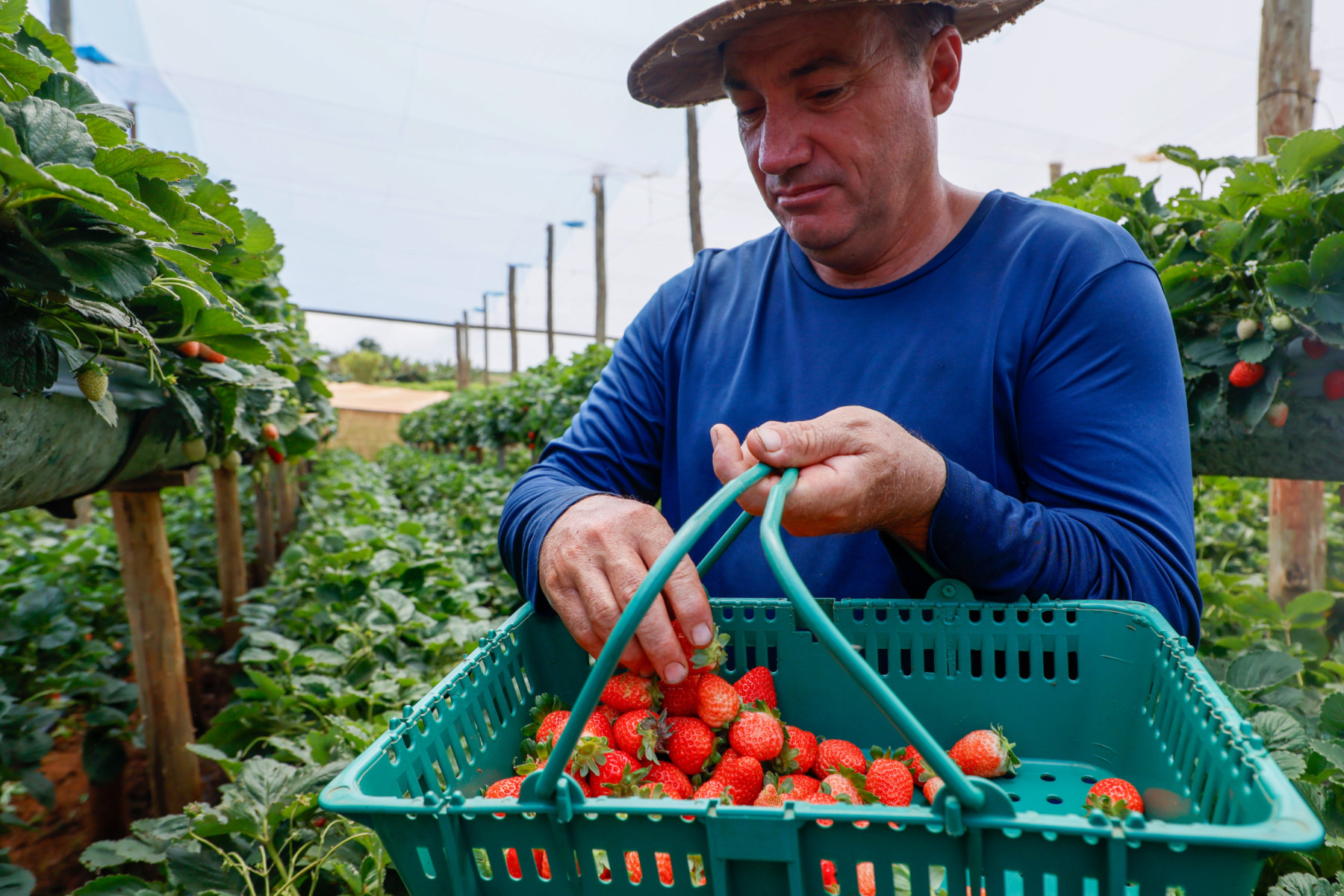 Projeto de Lei potencializa reforma agrária e beneficia pequenos produtores