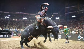 peao de rodeio em touro de pulo - pbr