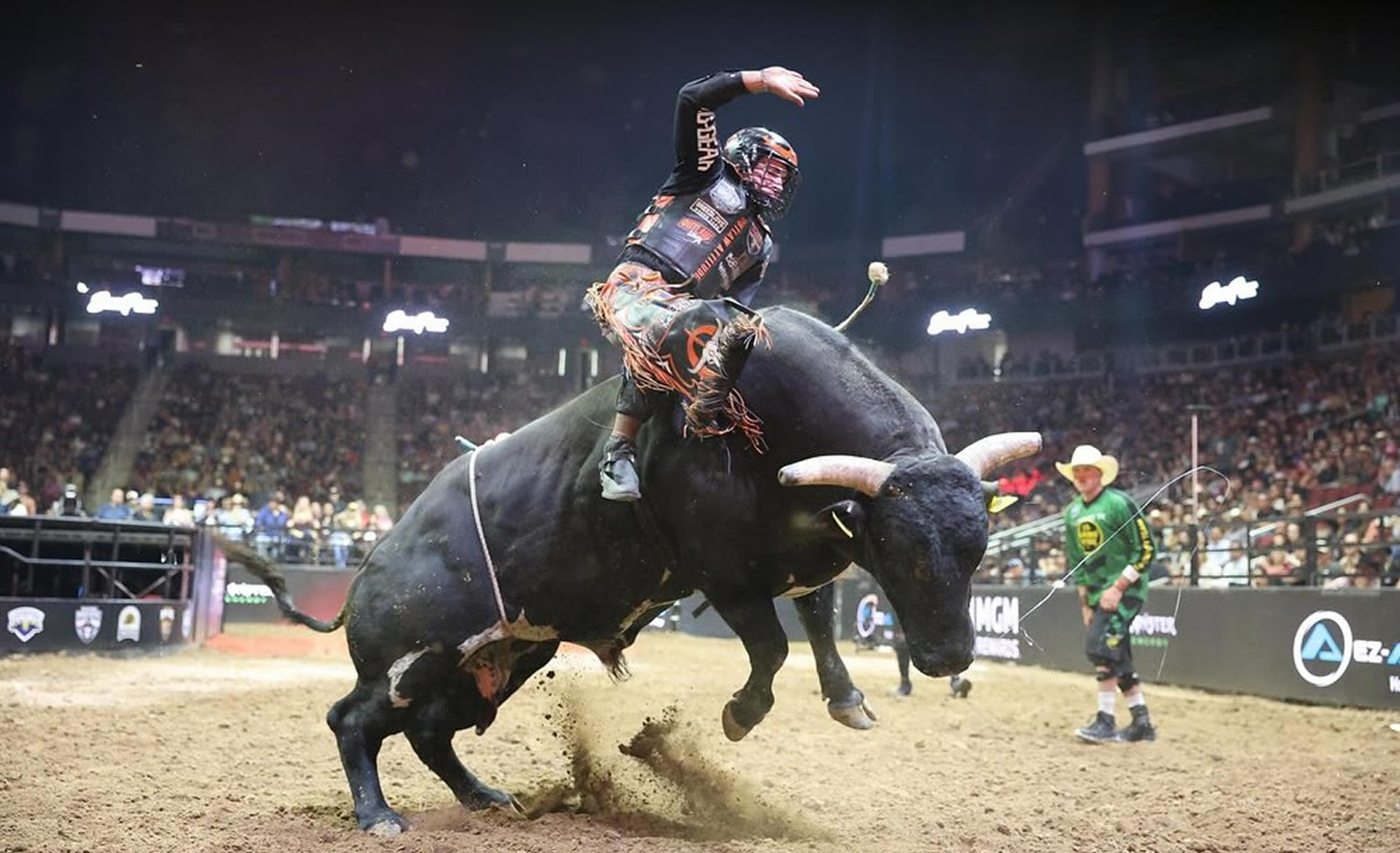 peao de rodeio em touro de pulo - pbr