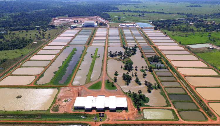 Peixes da Amazônia foi inaugurado em maio de 2015/Foto: Reprodução