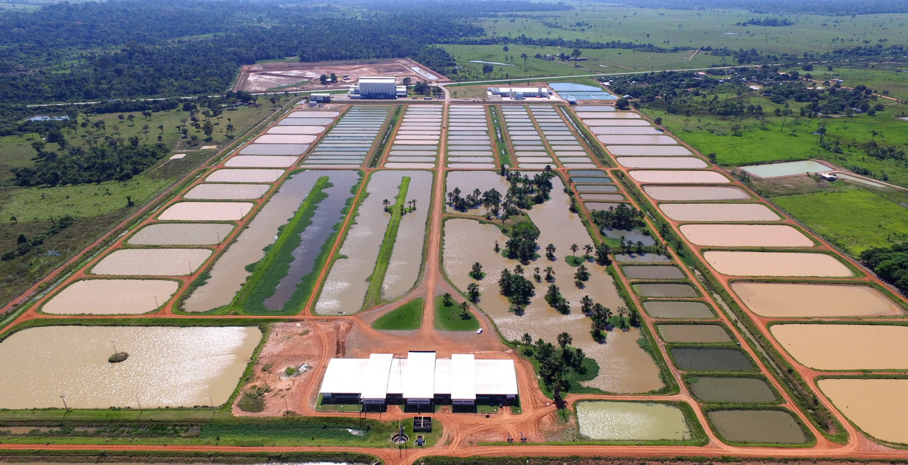 Peixes da Amazônia foi inaugurado em maio de 2015/Foto: Reprodução