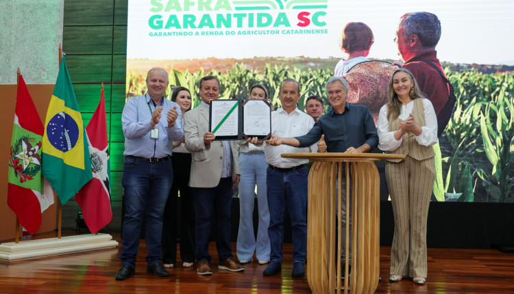 Novos programas para garantir renda ao produtor rural marcam 2024