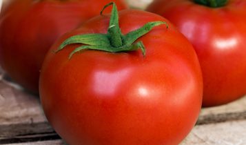 Alerta Sanitário: Anvisa manda recolher lote de molho de tomate italiano