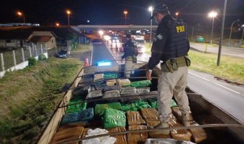 Cerca de 11 toneladas de maconha são apreendidas pela PRF em ração para gado