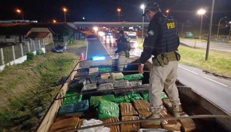 Cerca de 11 toneladas de maconha são apreendidas pela PRF em ração para gado