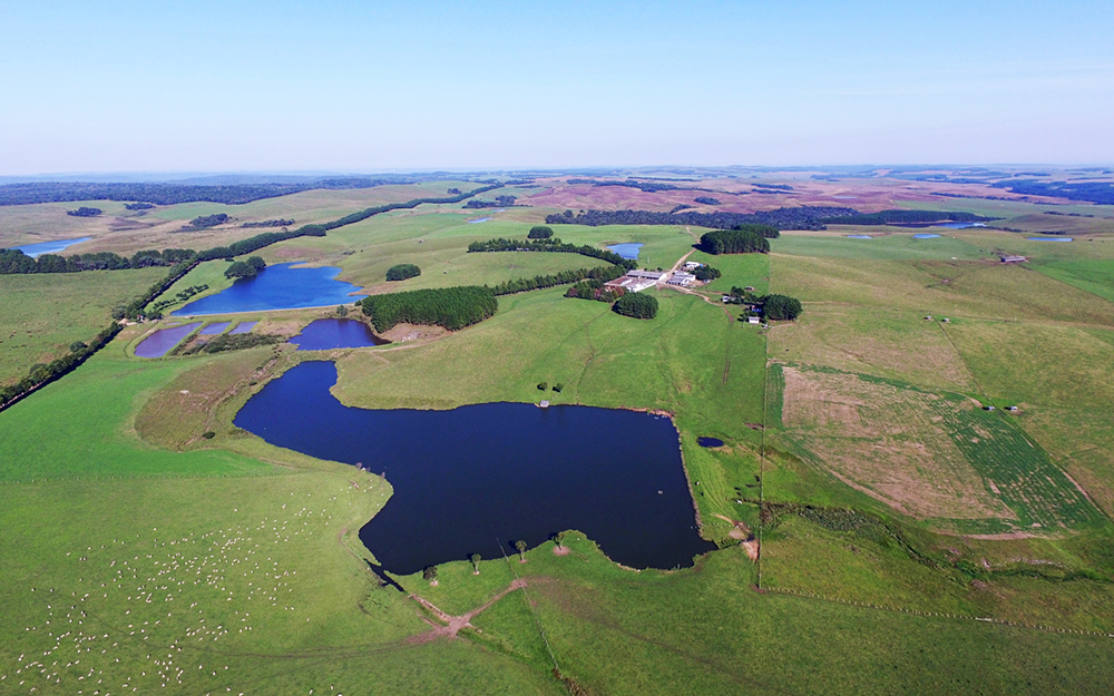 STF suspende CAR em áreas sobrepostas a terras indígenas — mesmo sem indenização aos produtores