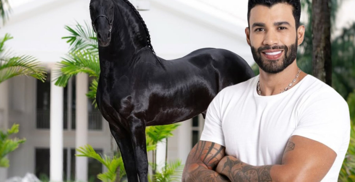 Gusttavo Lima Friesian